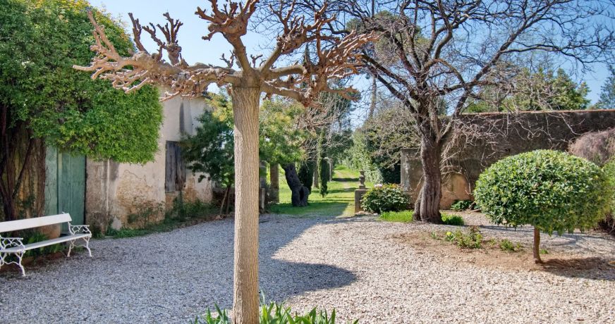 vente Domaine Saint Andre De Sangonis