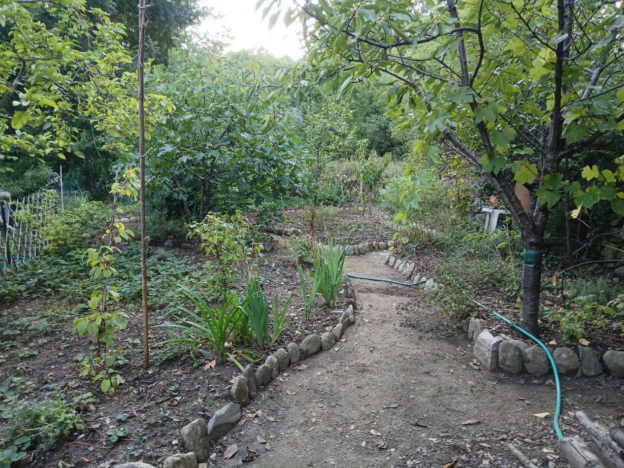 à vendre Maison Olargues - Photo 15