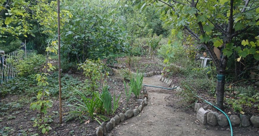 vente Maison Olargues