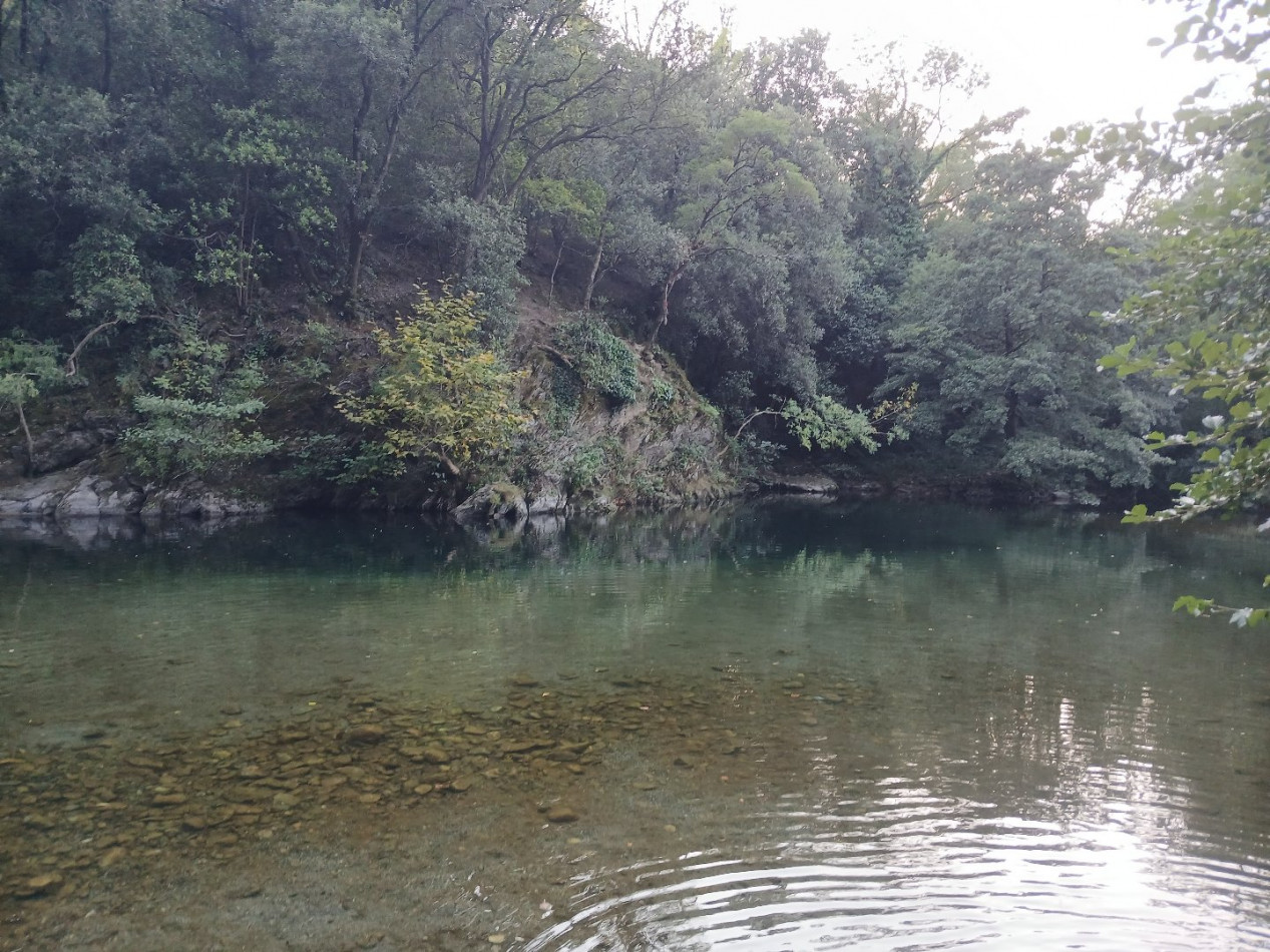 à vendre Maison Olargues - Photo 17