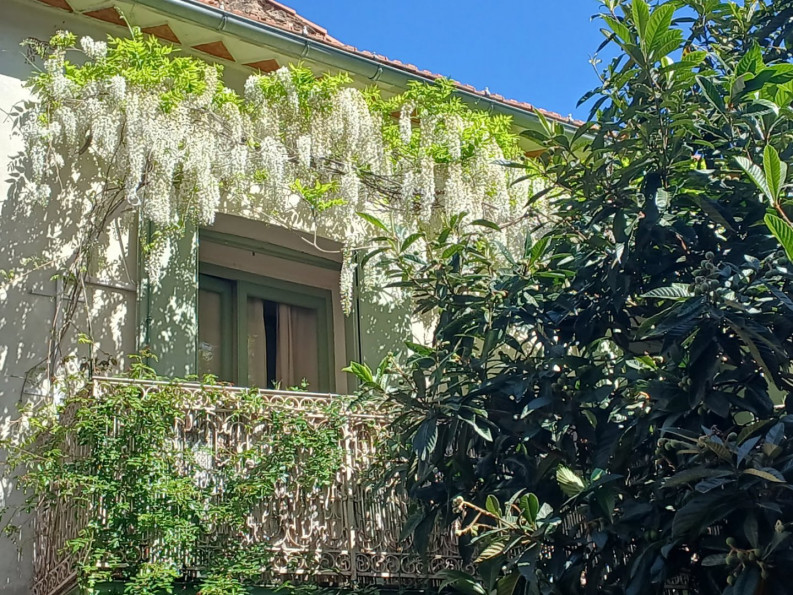 à vendre Maison Olargues - Photo 2
