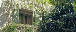 vente Maison Olargues