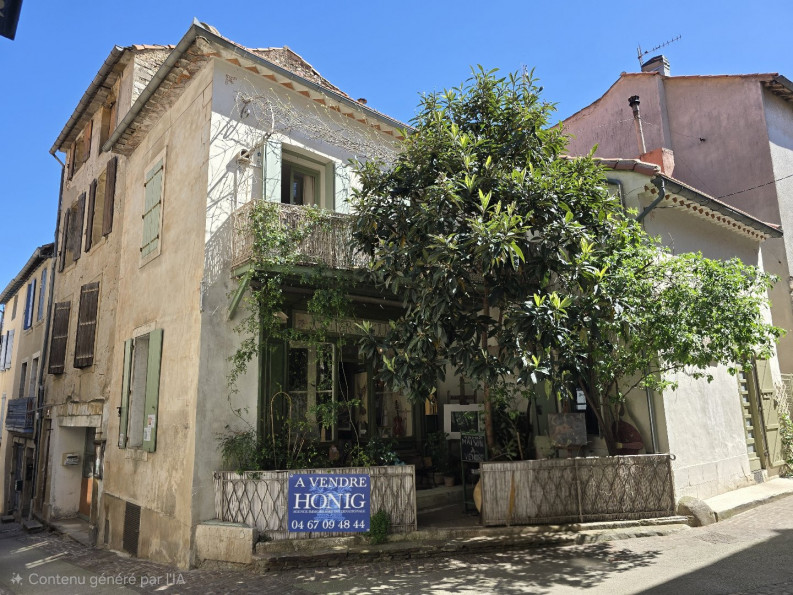 à vendre Maison Olargues - Photo 1