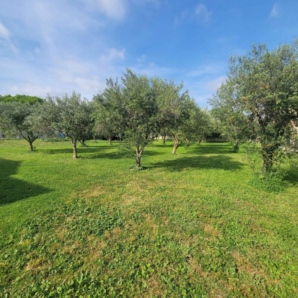 à vendre Propriété Montbazin - Photo 11