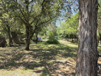 vente Propriété Montpellier