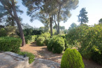 à vendre Maison et terrain Pezenas