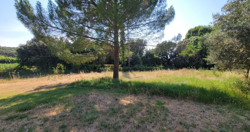 vente Terrain diffus (hors lotissement) Le Pouget