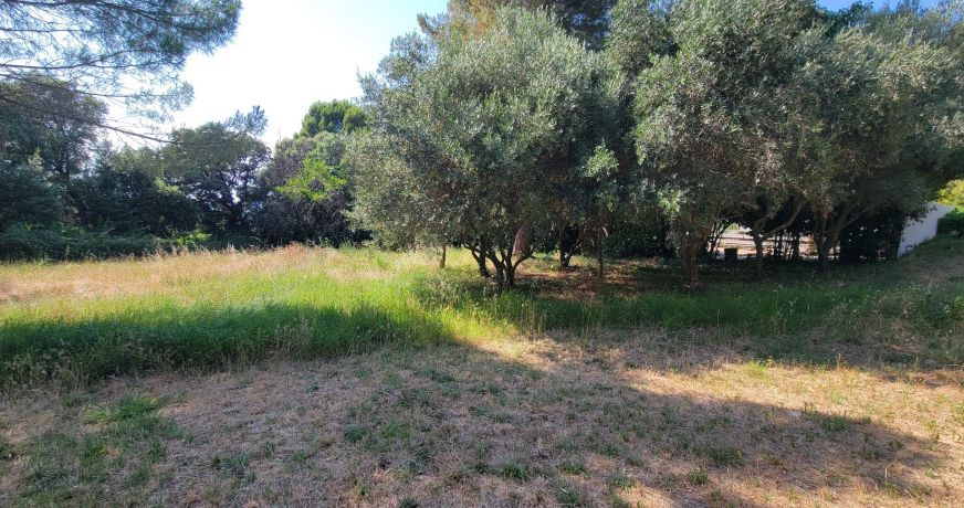 vente Terrain diffus (hors lotissement) Le Pouget