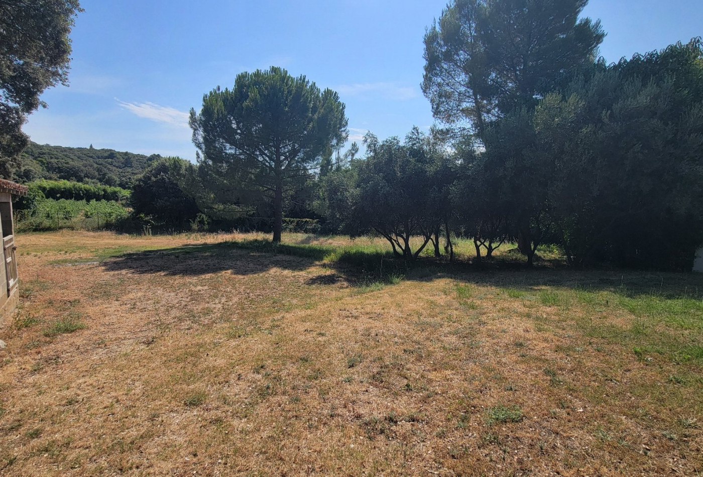 vente Terrain diffus (hors lotissement) Le Pouget - Photo 4