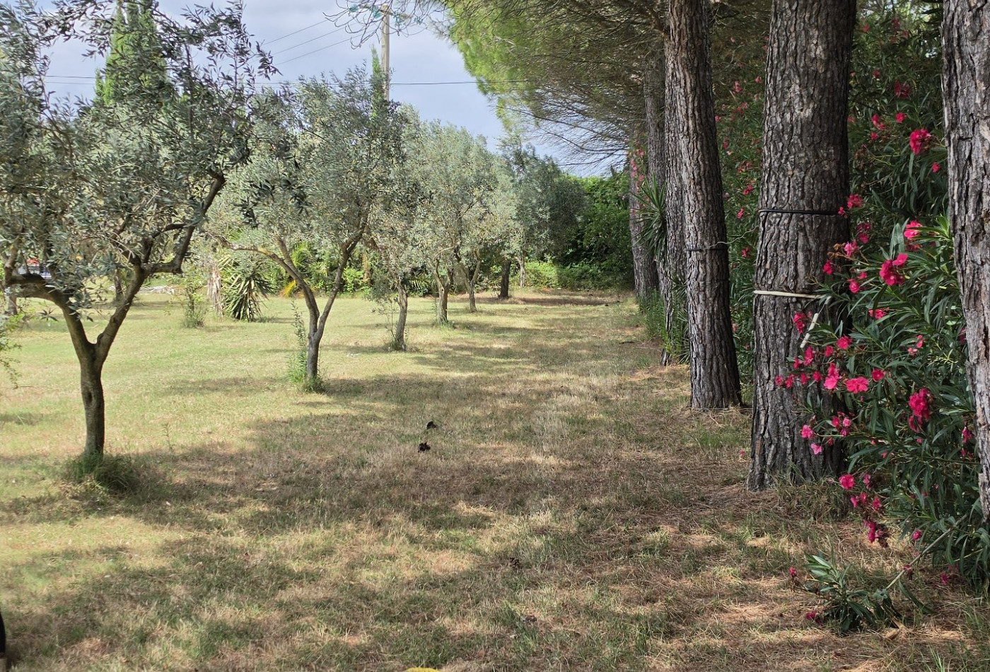 vente Mas Vauvert - Photo 2