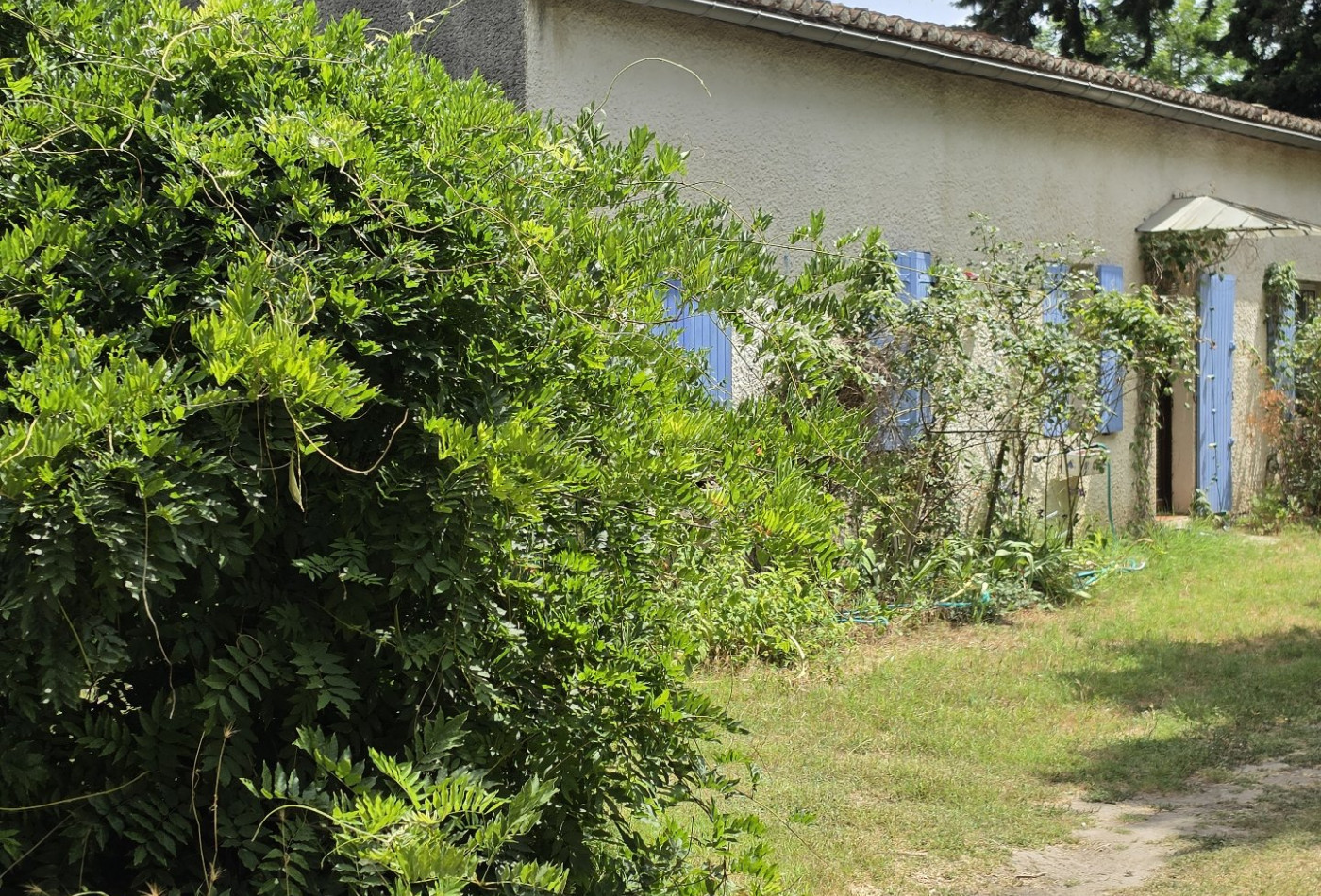 vente Mas Vauvert - Photo 7