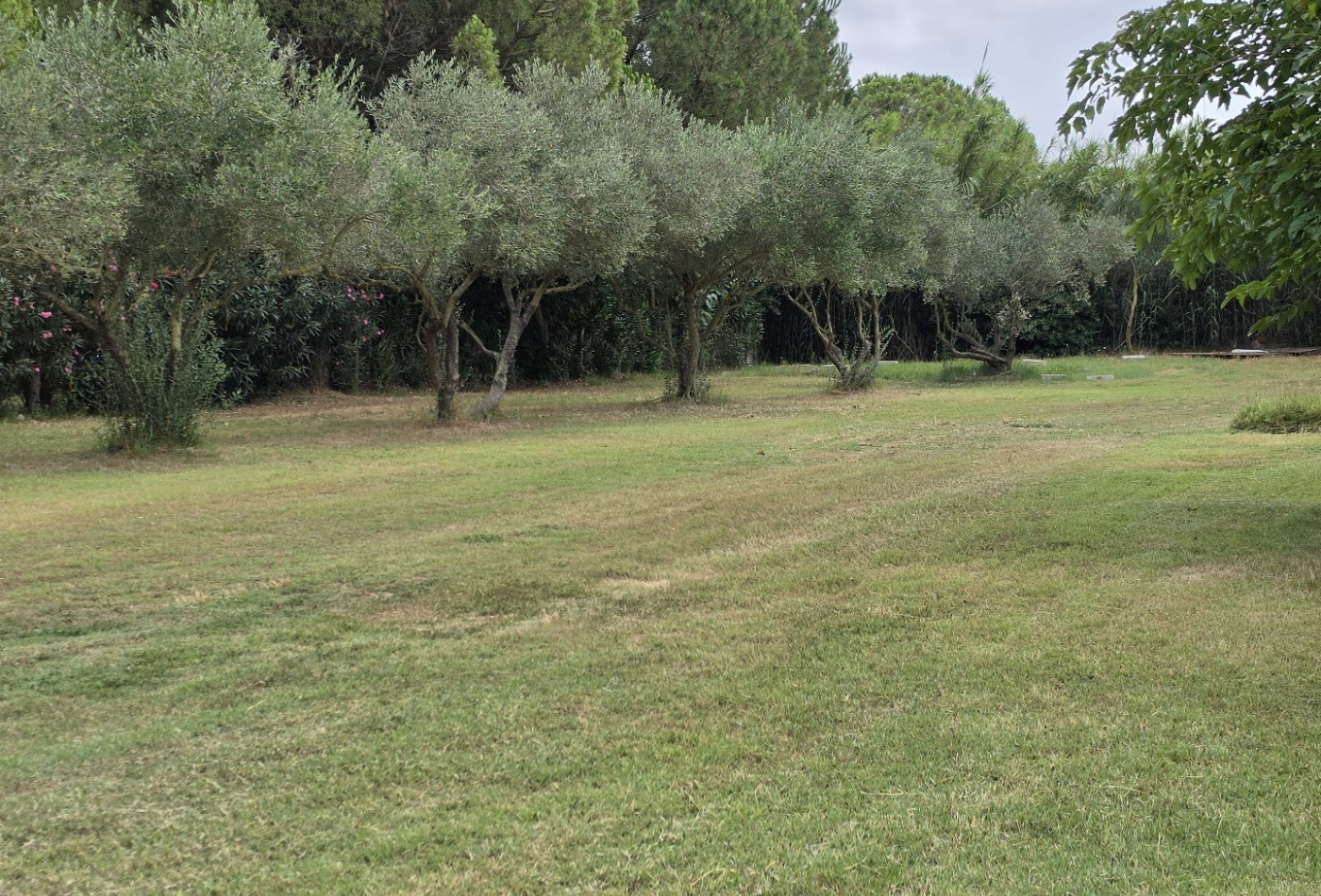 vente Mas Vauvert - Photo 8