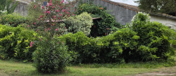 vente Mas Vauvert