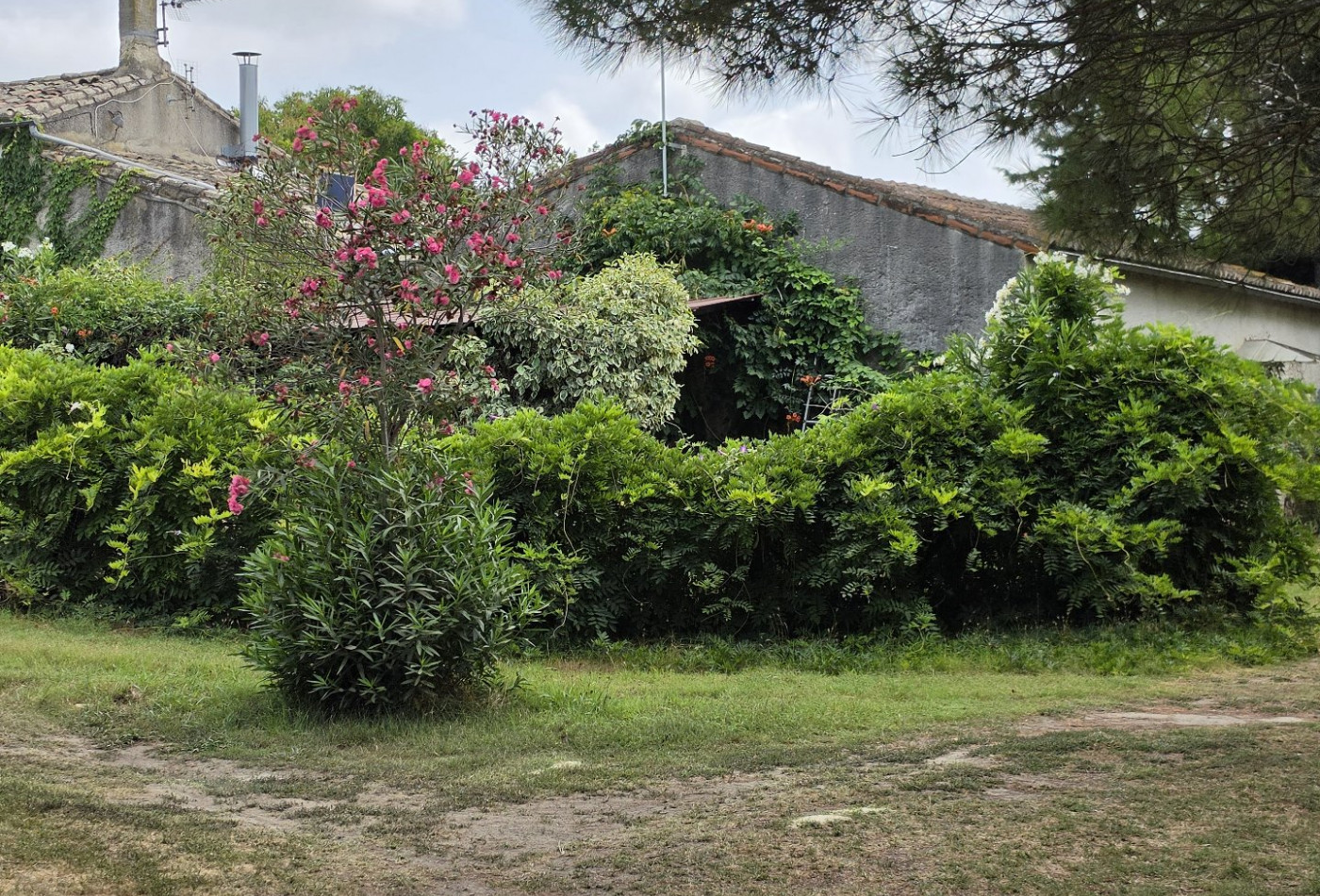 vente Mas Vauvert - Photo 9