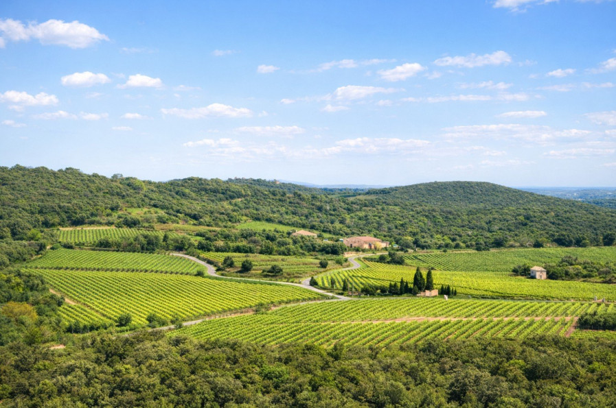 vente Villa Faugeres - Photo 2