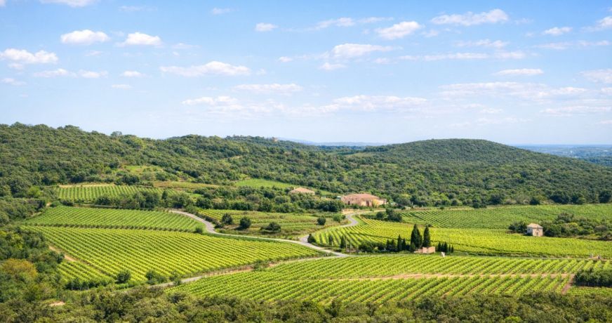 vente Villa Faugeres