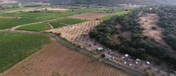 vente Terrain boisé – forêt Fontes