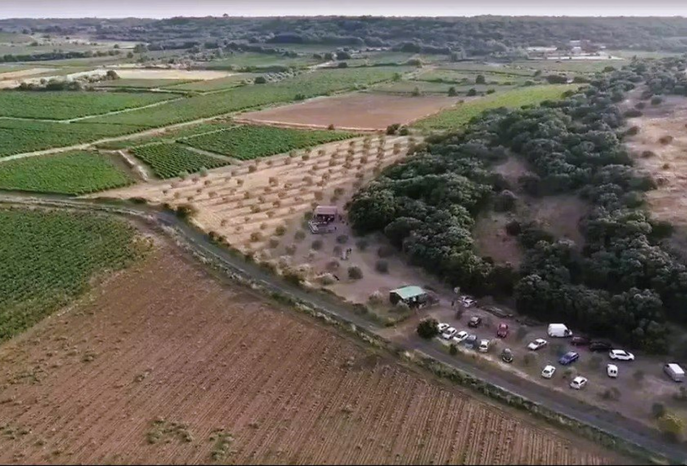 vente Terrain boisé – forêt Fontes - Photo 1