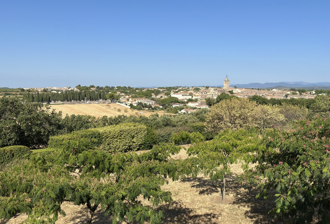 vente Demeure Pezenas - Photo 2