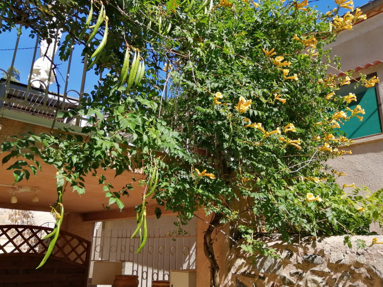 à vendre Maison de village Avene - Photo 6