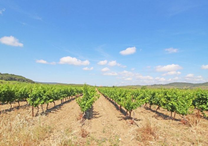 � vendre Propri�t� viticole Narbonne
