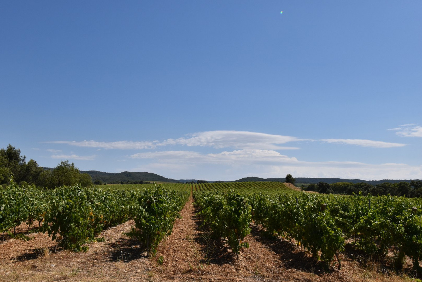à vendre Propriété viticole Narbonne