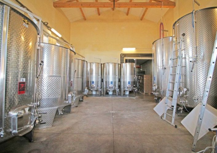 A vendre Propri�t� viticole Narbonne | R�f 340572849 - Albert honig