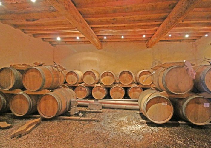 A vendre Propri�t� viticole Narbonne | R�f 340572860 - Albert honig