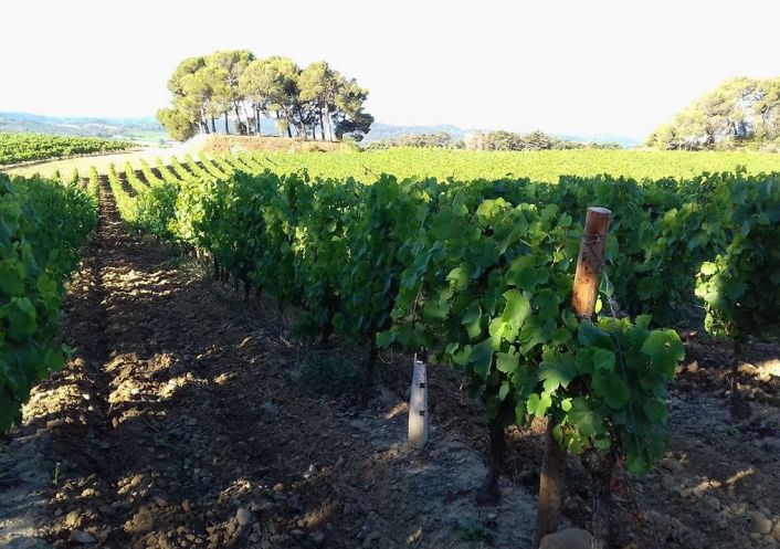 � vendre Propri�t� viticole Carcassonne