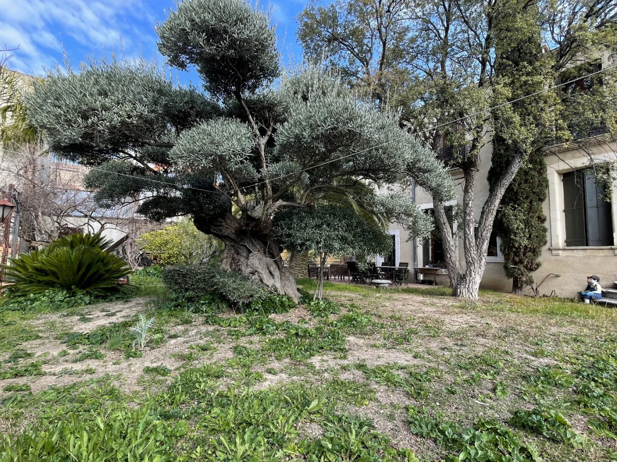 for sale Maison Beziers