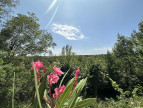 for sale Villa Magalas