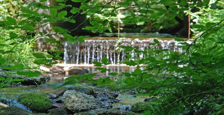 à vendre Propriété La Salvetat Sur Agout - Photo 7