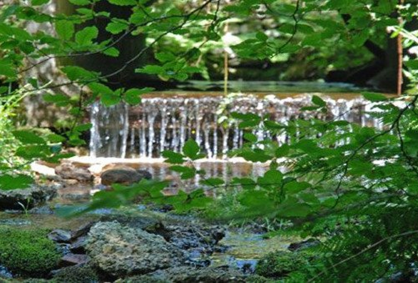 vente Propriété La Salvetat Sur Agout - Photo 7
