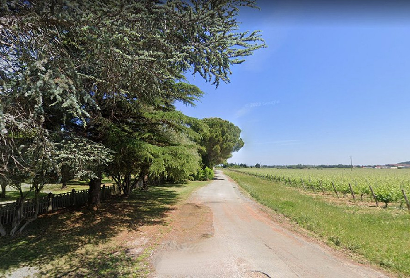 vente Propriété viticole Narbonne - Photo 2