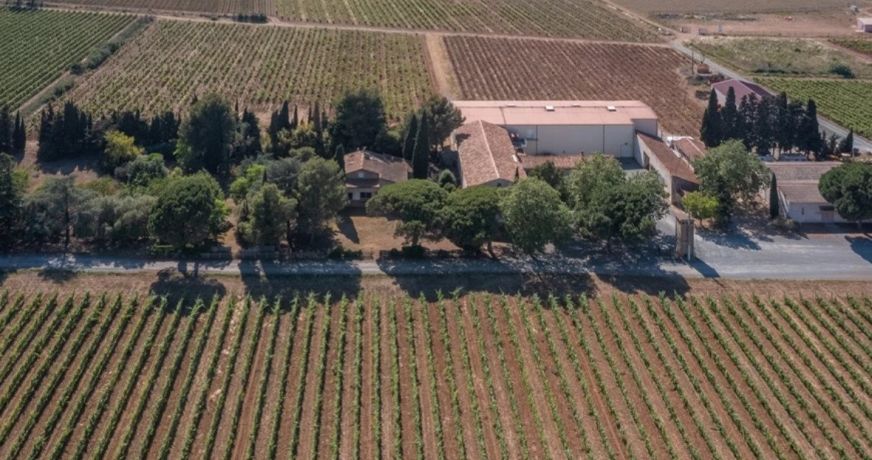 vente Propriété viticole Narbonne