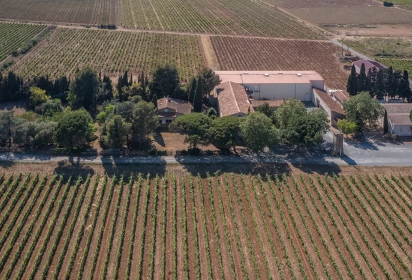 vente Propriété viticole Narbonne - Photo 1