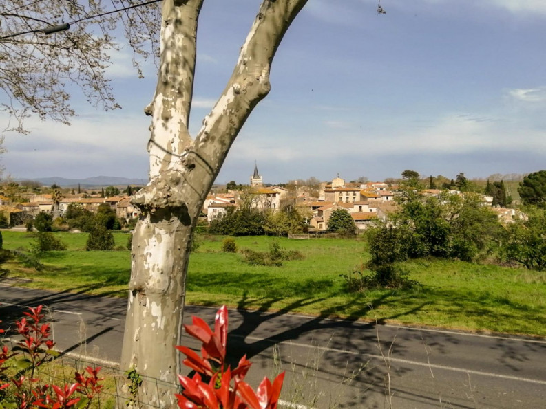 à vendre Villa Nizas - Photo 8