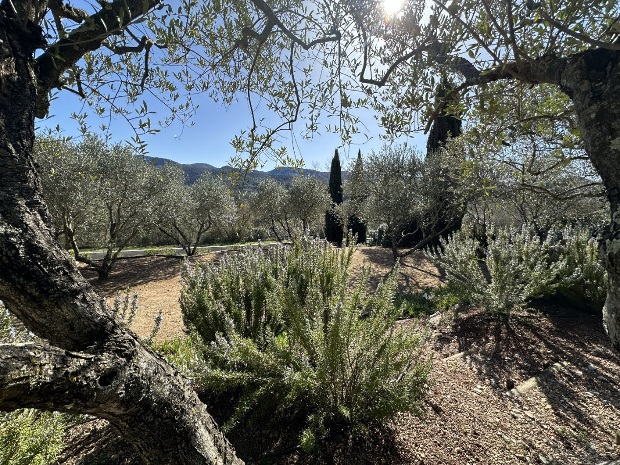 à vendre Villa Lamalou Les Bains - Photo 13