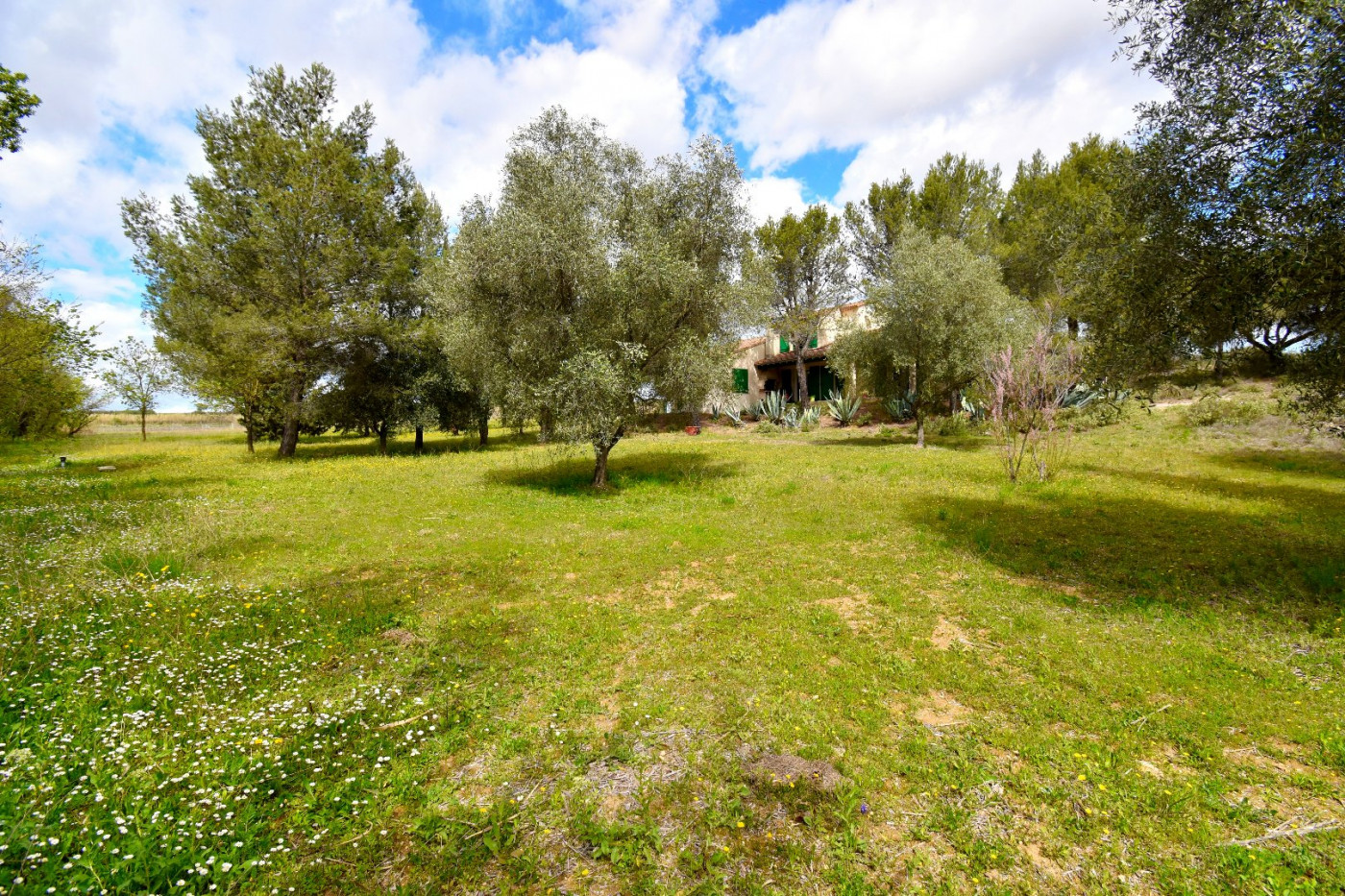 à vendre Maison Meze - Photo 6