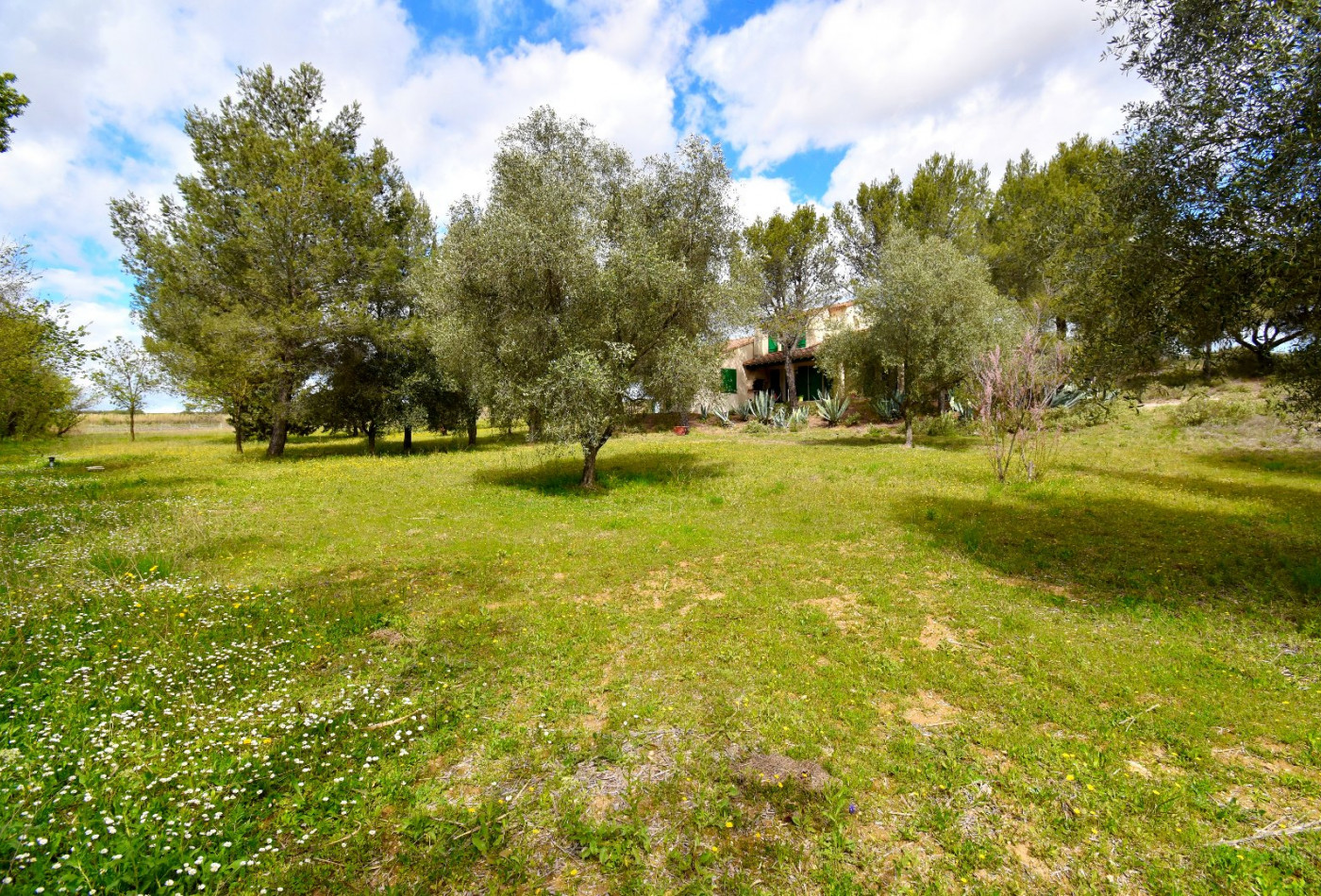 vente Maison Meze - Photo 6