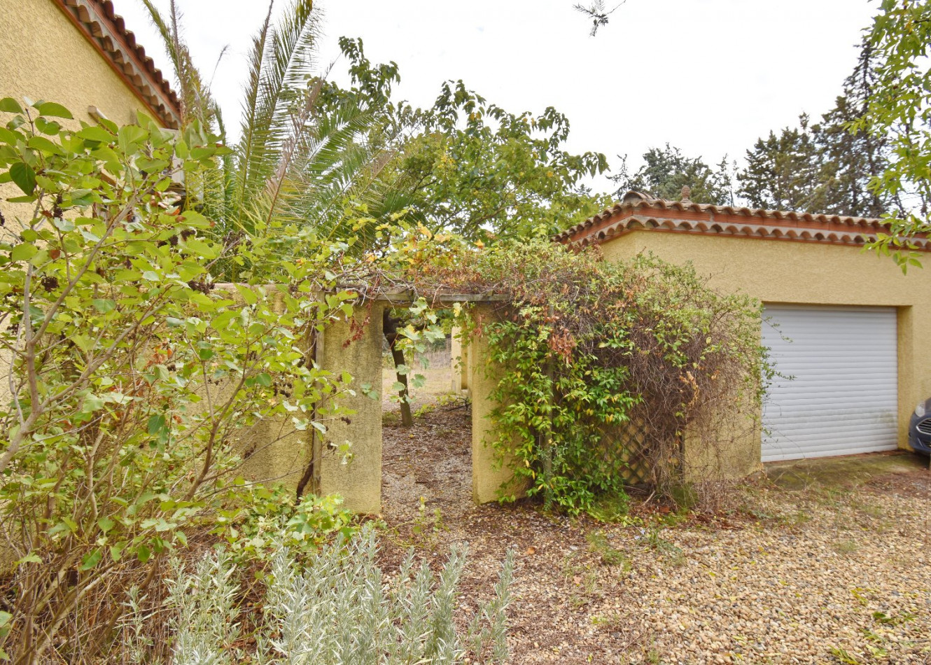 à vendre Maison Pezenas - Photo 6