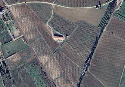 vente Propriété viticole Ceyras