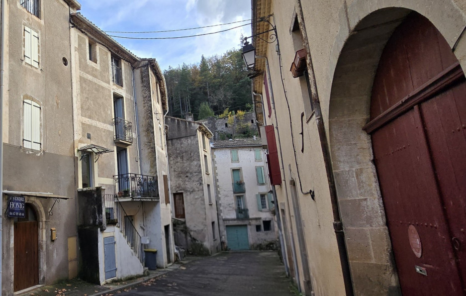 vente Immeuble Lunas - Photo 1