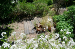 for sale Maison en pierre Lodeve