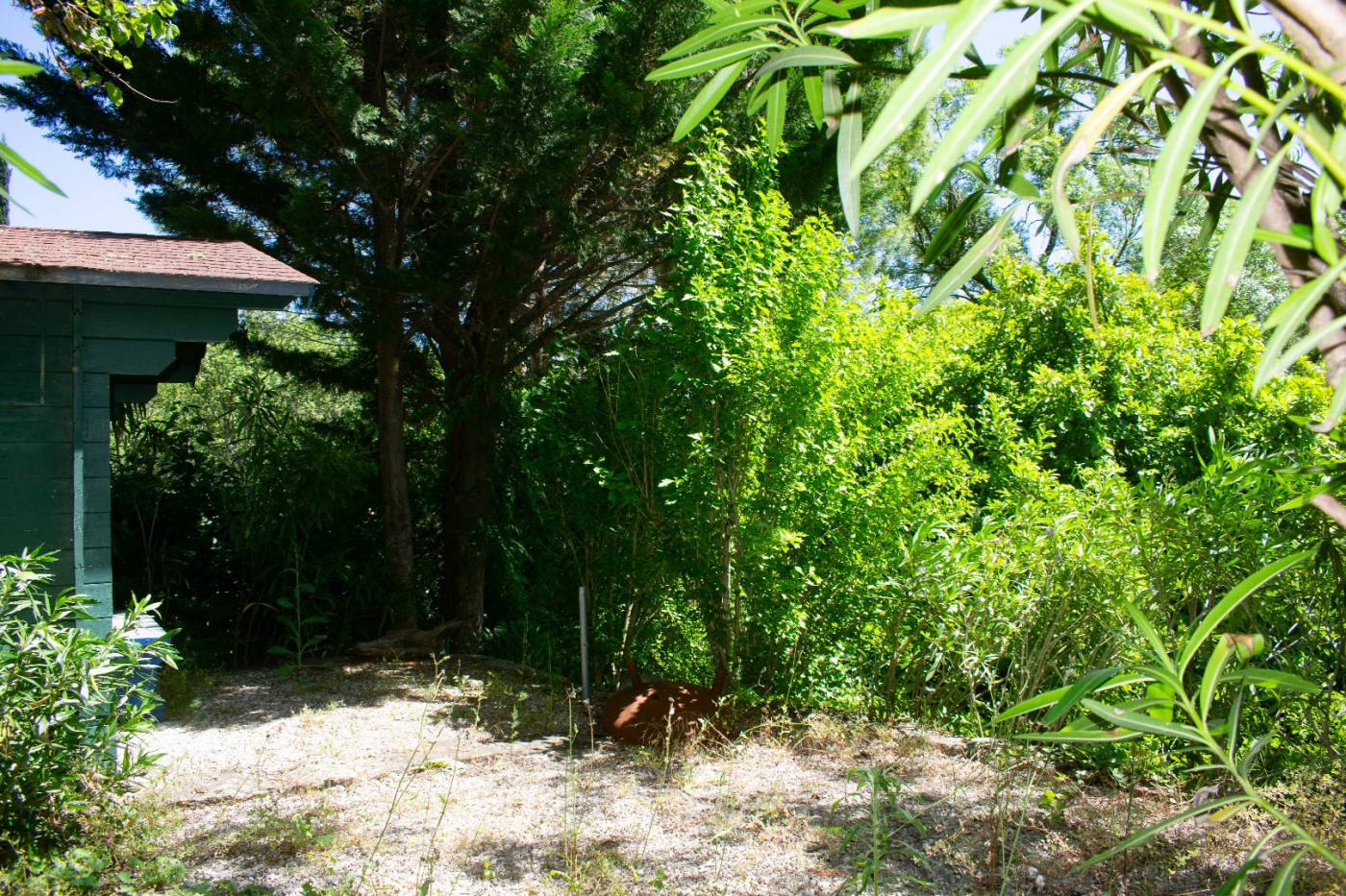 for sale Maison en pierre Lodeve - Photo 12