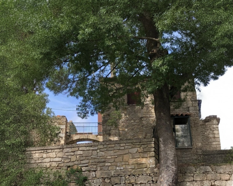 for sale Maison en pierre Lodeve - Photo 1