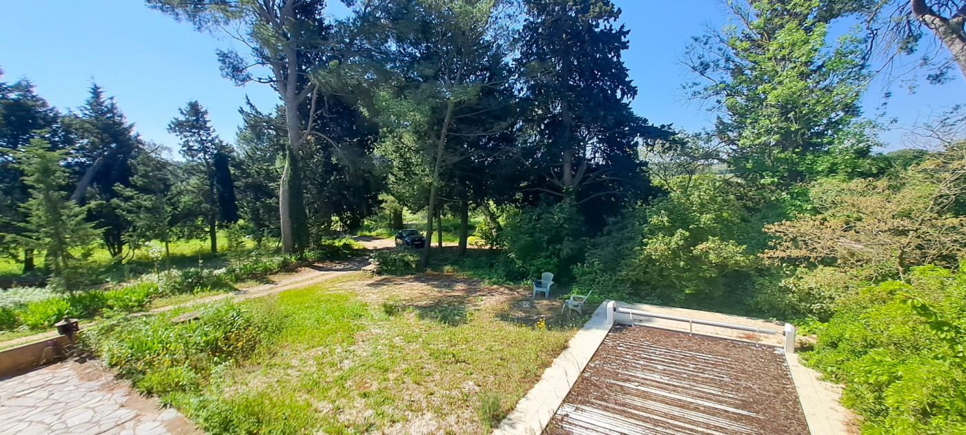 à vendre  Montagnac - Photo 2