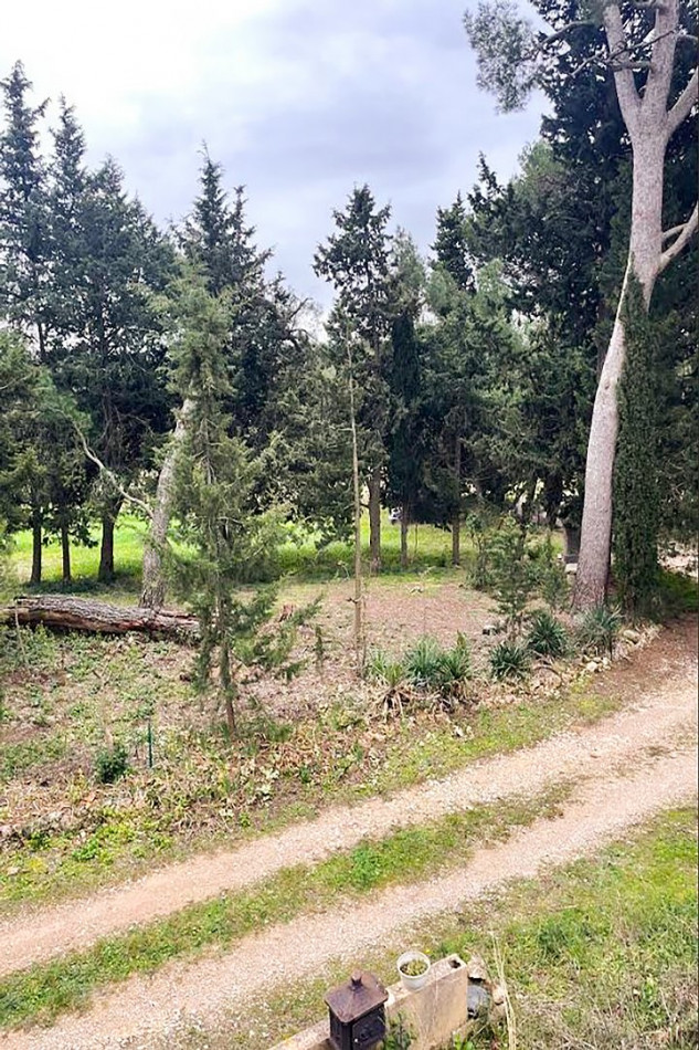 à vendre  Montagnac - Photo 13