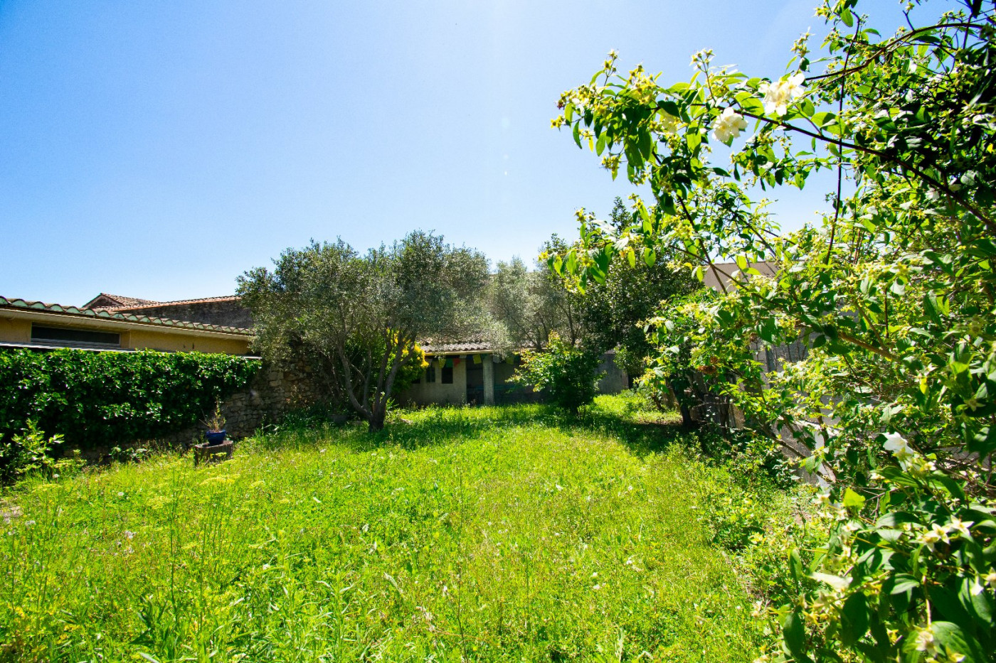 à vendre Maison Montagnac - Photo 10