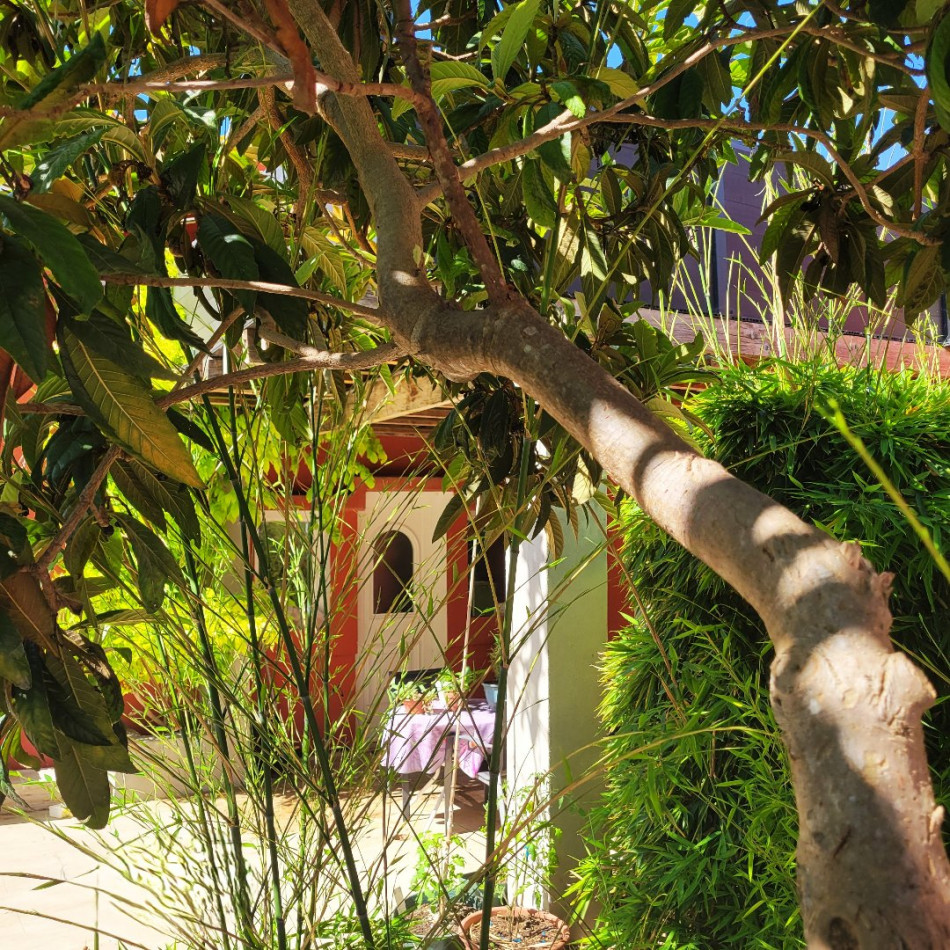 for sale Maison Plaissan - Photo 4